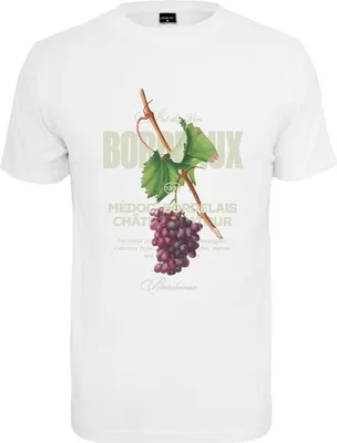 Obrázok produktu pre Pánské tričko Mr. Tee Bordeaux Tee white - S