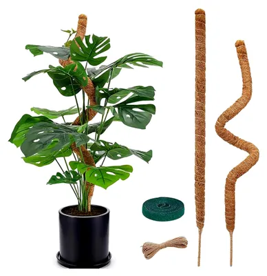 Produktbild von Pflanzenstütze, 120 cm Moosstab für Monstera, Biegsame Pflanzenstütze für Innenbereich, Monstera Rankhilfe, Biegbar, Pflanzen Kletterhilfe für Kletterpflanzen