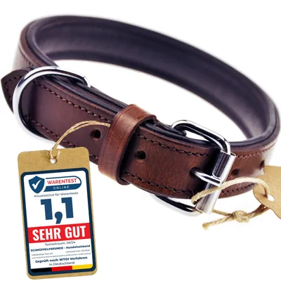 Image de Solidchoice - Collier pour chien, adapté à toutes les races (taille L)