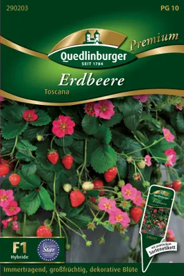 Produktbild von Erdbeere Toscana | Erdbeersamen von Quedlinburger