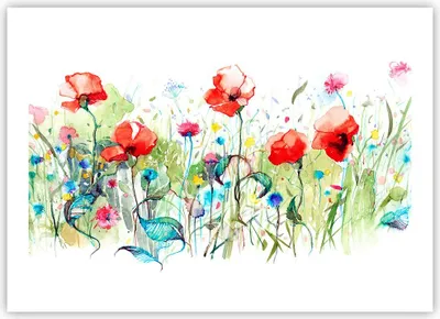 Produktbild von Poster - Poster ohne Rahmen - Blumen Wiese Blatt Natur - 70x50 cm - Wand Bild - Wanddeko - Wandbilder - Kunstposter - Wandposter - Bilder - Kunstdruck - Wanddekoration - Wandbild - P2XAA70x50-3076