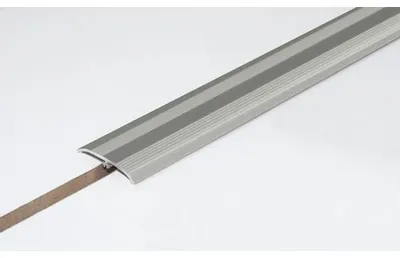 Obrázek produktu pro Přechodový profil Skandor Dowel-Fix 06 elox stříbrný 55x5,5x1000 mm
