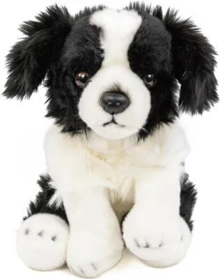 Produktbild von Kuscheltier Hund Border Collie 30 cm sitzend schwarz/weiß Plüschhund