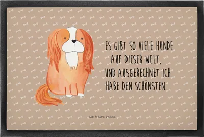 Produktbild von Mr. & Mrs. Panda Schmutzfangmatte Hund Cavalier King Charles Spaniel 50 x 75 cm - Hundeglück - Geschenk, Spruch, Gummimatte, Schmutzmatte, Vierbeiner, fußmatte, Bester
