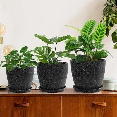 Image de Ensemble de 3 pots pour plantes, avec drainage et soucoupes, couleur noire