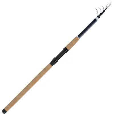 Produktbild von WFT XK Bone Tele Match 3,00m 2-12g
