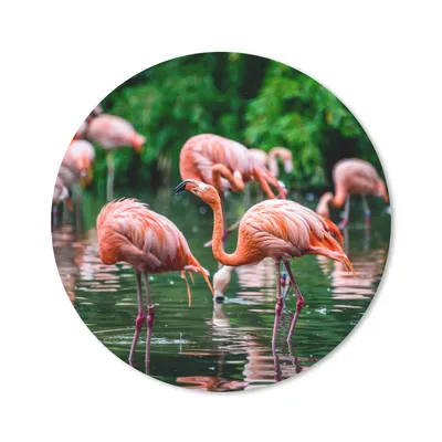Produktbild von MuchoWow® Mauspad Mousepad Flamingo - Tropisch - Vogel - Wasser - Rosa 40x40 cm - Mousepads - Maus Mat - Pad - Mausunterlage - Schreibtisch Accessoires