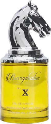 Obrázek produktu pro Armaf Bucephalus No. X EDP 100 ml M