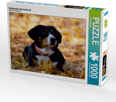 Produktbild von Calvendo Entlebucher Sennenhund 1000 Teile Puzzle quer 640x480mm, CALVENDO; 7290746