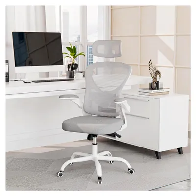 Produktbild von Ergonomischer Bürostuhl mit 3D-Armlehnen und Lendenstütze, höhenverstellbar für Home Office und Büro, grau