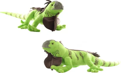 Produktbild von Plüsch-Leguan, 75 cm