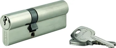 Image de Cylindre STD double entrée, 35 x 75 mm anti-arrachement, nickelé, 3 clés - THIRARD