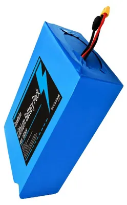 Image de Batterie lithium-ion, capacité de 100 000 mAh, décharge continue de 50 A, chargeur T-DC