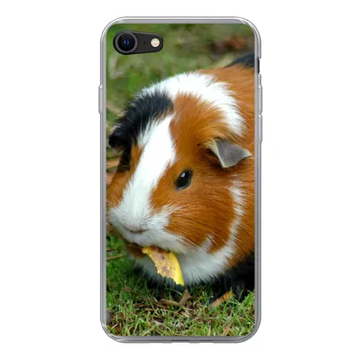 Produktbild von MuchoWow® Handyhülle Schutzhülle Hülle für iPhone 7 Meerschweinchen draußen Silikon Softcase Handy Hülle - Kartenhalter