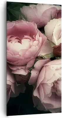 Produktbild von Bild auf Leinwand - Leinwandbild - Pfingstrose Blume - 65x120cm - Wand Bild - Wanddeko - Wandbilder - Leinwanddruck - Bilder - Kunstdruck - Wanddekoration - Leinwand bilder - Wandkunst - PA65x120-3930