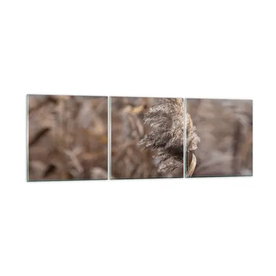 Produktbild von Bilder auf glas - 3 Teile - Boho Ähren Gras - 150x50cm - Glasbilder - Wandbilder - Bilder - zum Aufhängen bereit - Wanddekoration aus Glas - Glas Bilder - Wandbild auf Glas - GCA150x50-4763
