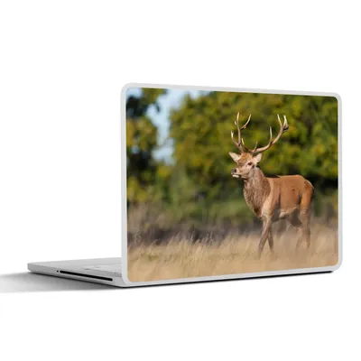 Produktbild von MuchoWow® Laptop Aufkleber Sticker Cover Tiere - Hirsche - Geweihe - Waldtiere - Natur 30x21 cm - Sticker für Laptop - Selbstklebend