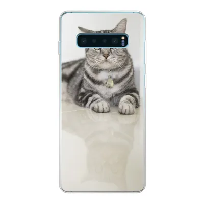 Produktbild von MuchoWow® Handyhülle Schutzhülle Hülle für Samsung Galaxy S10 Plus Katze - Grau - Tier - Mädchen - Kinder - Jungen - Kind Silikon Softcase Handy Hülle - Schutzhülle