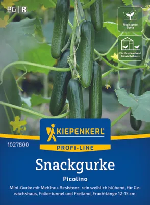 Produktbild von Kiepenkerl Snackgurkensamen Picolino F1 Cucumis sativus 5 Pflanzen