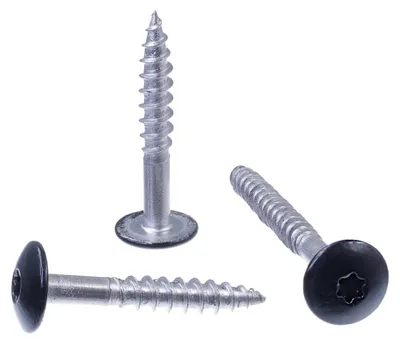 Produktbild von SECCARO Fassadenschraube 4,8 x 32 mm, RAL 9005 tiefschwarz, Edelstahl A2, Trespo, Flachrundkopf, TX / Innensechsrund, 100 Stück