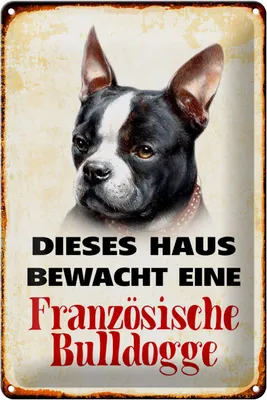 Produktbild von Blechschild Hund 20x30cm Haus bewacht französische Bulldogge