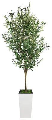 Image de Olivier artificiel - Plante artificielle en pot - 180 cm - Feuillage réaliste - Pour l'intérieur et l'extérieur - À poser au sol - Plastique - 1 pièce