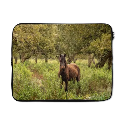 Produktbild von MuchoWow® Laptop Hülle 15 Zoll Pferd - Wald - Gras Laptoptasche - Laptoptasche - Sleeve - Rundum-Schutz