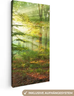 Obrázek produktu pro OneMillionCanvasses® - Obraz na plátně - Slunce - Les - Stromy - Příroda - Podzim, nástěnná malba, nástěnné dekorace obrazy obývací pokoj, 20x40cm