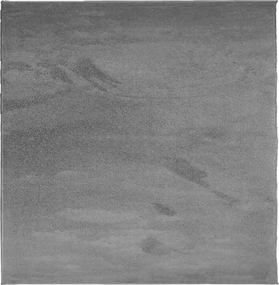 Produktbild von vidaXL Teppich OVIEDO Kurzflor Anthrazit 120x120 cm
