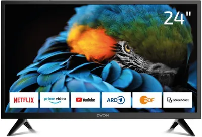 Produktbild von Dyon 24 XT, 61 cm (24"), 1920 x 1080 Pixel, Full HD, Smart-TV, WLAN, Schwarz