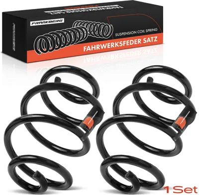 Produktbild von Frankberg 2x Fahrwerksfeder Hinterachse für Renault Clio III BR0/1 CR0/1 2.0L 2006-2010
