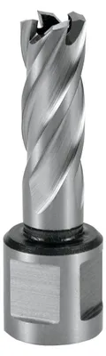 HSS-Spiralbohrer Weldon-Schaft 12 mm, 30 mm Tiefe, CBN