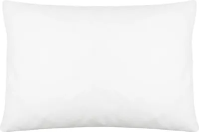 A plain white pillow on a white background.