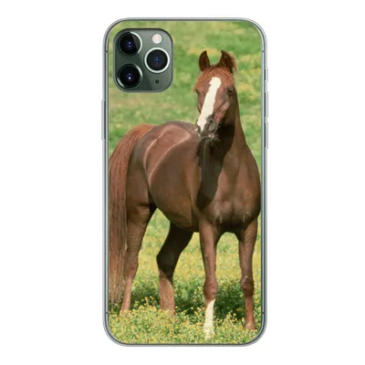Produktbild von MuchoWow® Handyhülle Schutzhülle Hülle für iPhone 11 Pro Max Pferde - Gras - Braun Silikon Softcase Handy Hülle - Schutz