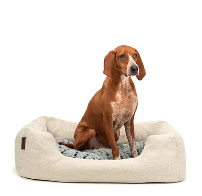 Produktbild von lionto Kuschelbett für Hunde, gemütliches Hundebett mit herausnehmbarem Wendekissen, rutschfestem Boden, 80x60 cm, beige
