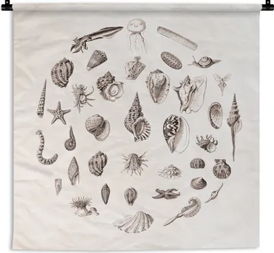 Produktbild von MuchoWow® Wandteppich Wandbehang Meerestiere - Muscheln - Oktopus 120x120 cm Tapisserie Dekoration Wandtuch - Modern - Baumwollgewebe