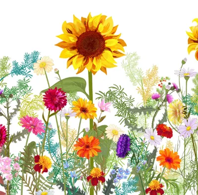 Produktbild von FASANA Lunch-Serviette "Wild Sunflower" 12 Stück Verkaufseinheit 412486 4064481009606