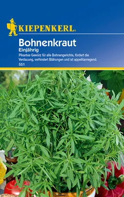 Produktbild von Bohnenkraut Einjährig | Bohnenkrautsamen von Kiepenkerl [MHD 01/2024]