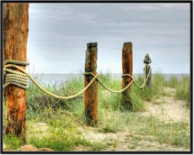 Produktbild von Wallario Wandbild Düne am Strand mit Holzpfahl, Größe: 40,30 x 50,30 cm, Poster mit schwarzem Aluminiumrahmen