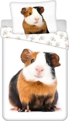 Productafbeelding van Sweet Home dekbedovertrek cavia 140 x 200 cm - 70 x 90 cm - Katoen