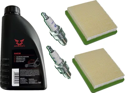 Zdjęcie produktu dla 2 x świeca zapłonowa + 2 x filtr + olej SAE30 do Hyundai HYM510SPE HYSW1000 PS100SPE