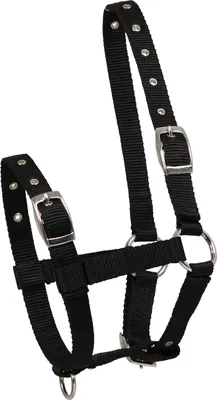 Produktbild von Waldhausen Fohlenhalfter Triple