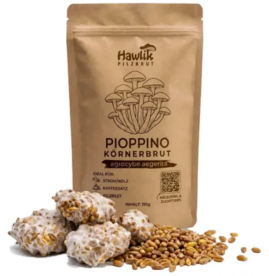Produktbild von Hawlik Pilzbrut Pioppino Körnerbrut 150 g – Pilzbrut für eigene Pilzzucht auf Holz Stroh Kaffeesatz