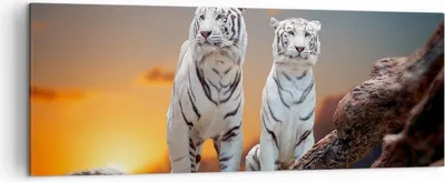 Produktbild von Bild auf Leinwand - Leinwandbild - Tiger weiß Rock Sonnenuntergang - 140x50cm - Wand Bild - Wanddeko - Leinwanddruck - Bilder - Kunstdruck - Leinwand bilder - Wandkunst - AB140x50-2901