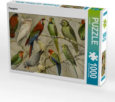Produktbild von CALVENDO Puzzle Papageien | 1000 Teile Lege-Größe 64x48cm Foto-Puzzle für glückliche Stunden
