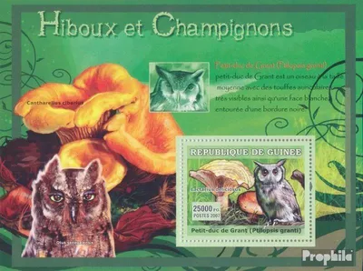 Produktbild von Briefmarken Guinea 2007 Mi Block 1195 (kompl. Ausgabe) postfrisch Zwergohreule
