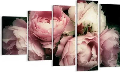 Produktbild von Bild auf Leinwand - Leinwandbild - Pfingstrose Blume - 100x60cm - Wand Bild - Wanddeko - Wandbilder - Leinwanddruck - Bilder - Kunstdruck - Wanddekoration - Leinwand bilder - Wandkunst - EG100x60-3930
