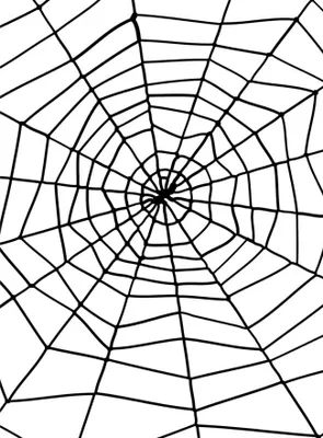 Immagine prodotto di Ragnatele XXL da 150 cm - Decorazioni per Halloween a tema horror