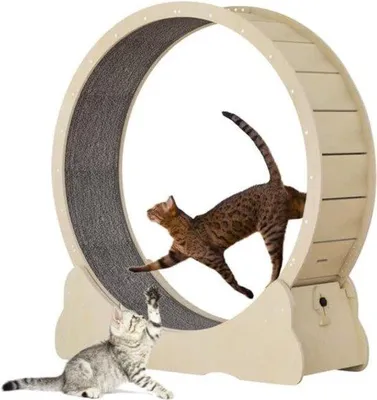 Produktbild von Famanu Katzenlaufrad – 80 cm Durchmesser – Katzenfitnessgerät mit Pfotenschutz