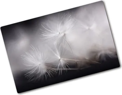 Produktbild von Tulup Glas Herdabdeckplatte - 80x52 cm - Glaskeramikkochfeld-Abdeckung Spritzschutz Glasabdeckplatte - Einteilig - Blumen & Pflanzen - Pusteblume Samen - Schwarzweiß